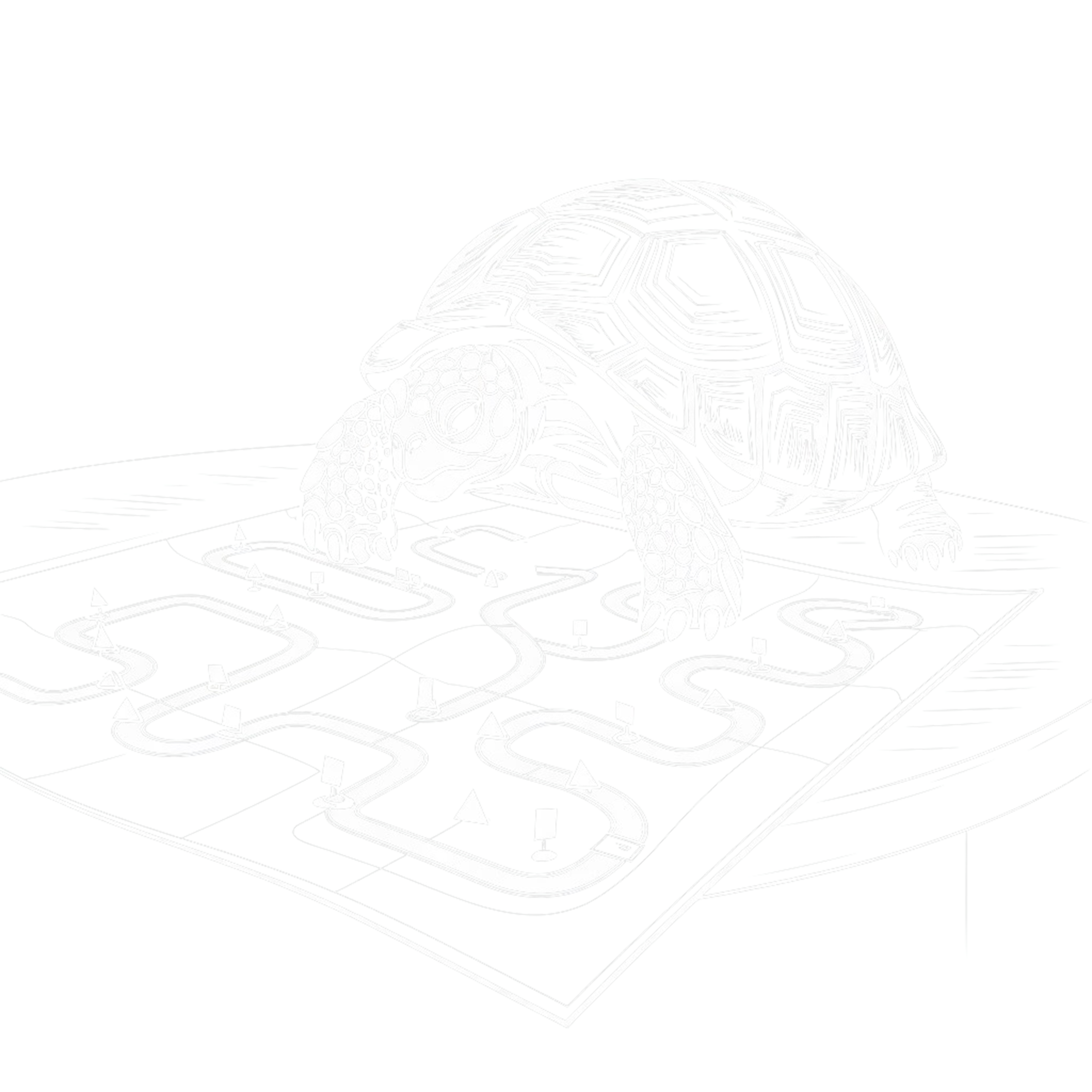 Tortoise preparing with strategy